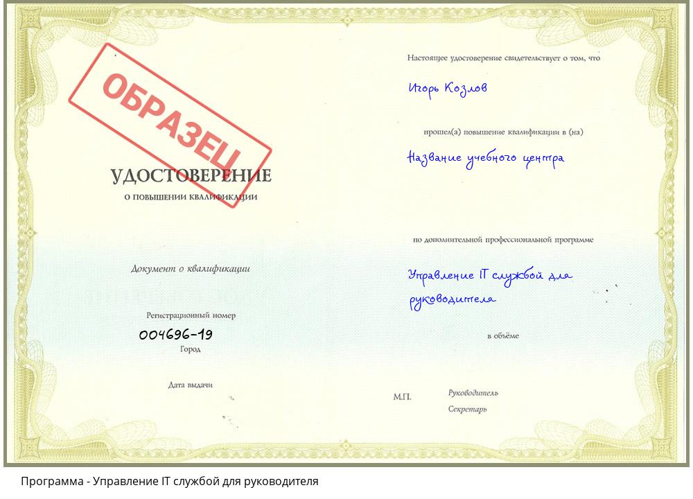 Управление IT службой для руководителя Богданович