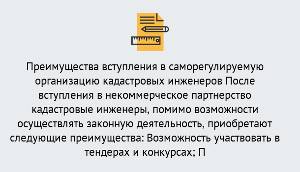 Почему нужно обратиться к нам? Богданович Что дает допуск СРО кадастровых инженеров?