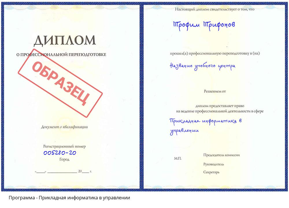 Прикладная информатика в управлении Богданович