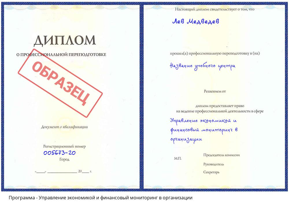 Управление экономикой и финансовый мониторинг в организации Богданович