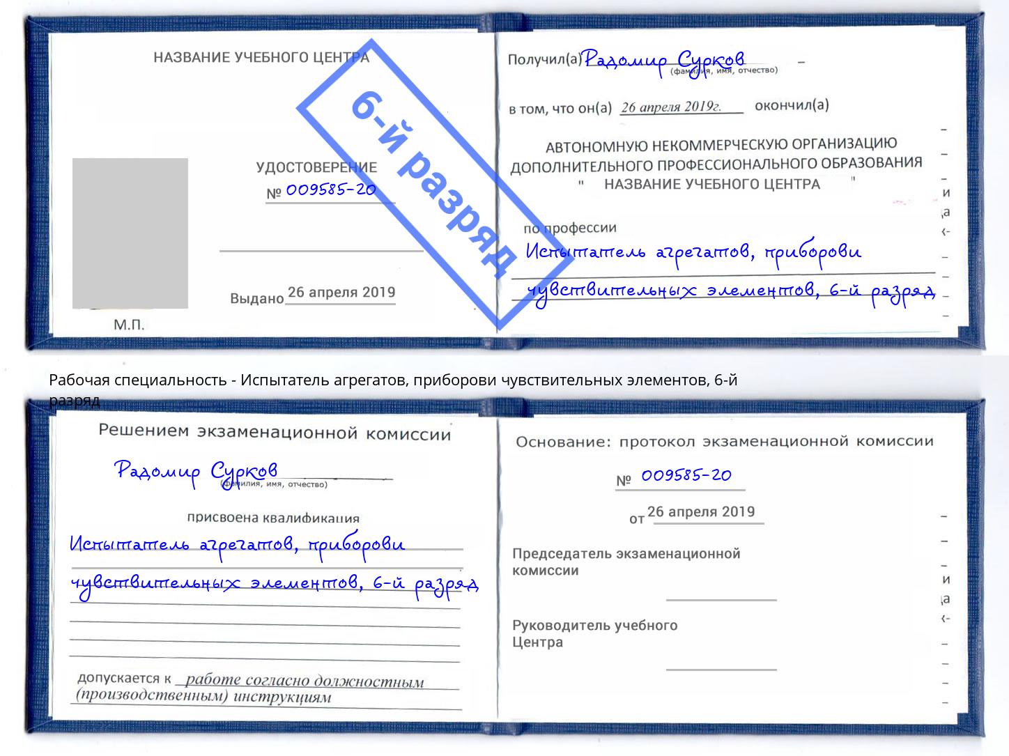 корочка 6-й разряд Испытатель агрегатов, приборови чувствительных элементов Богданович
