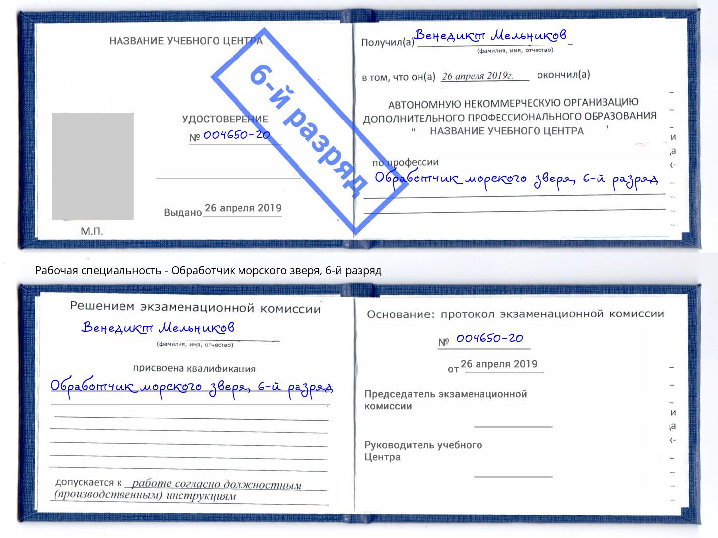 корочка 6-й разряд Обработчик морского зверя Богданович