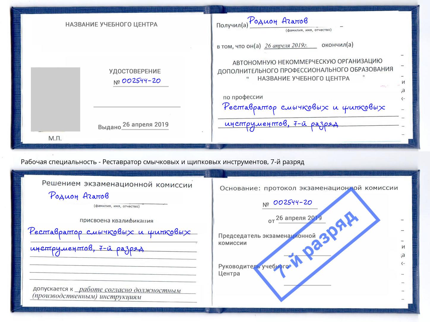 корочка 7-й разряд Реставратор смычковых и щипковых инструментов Богданович