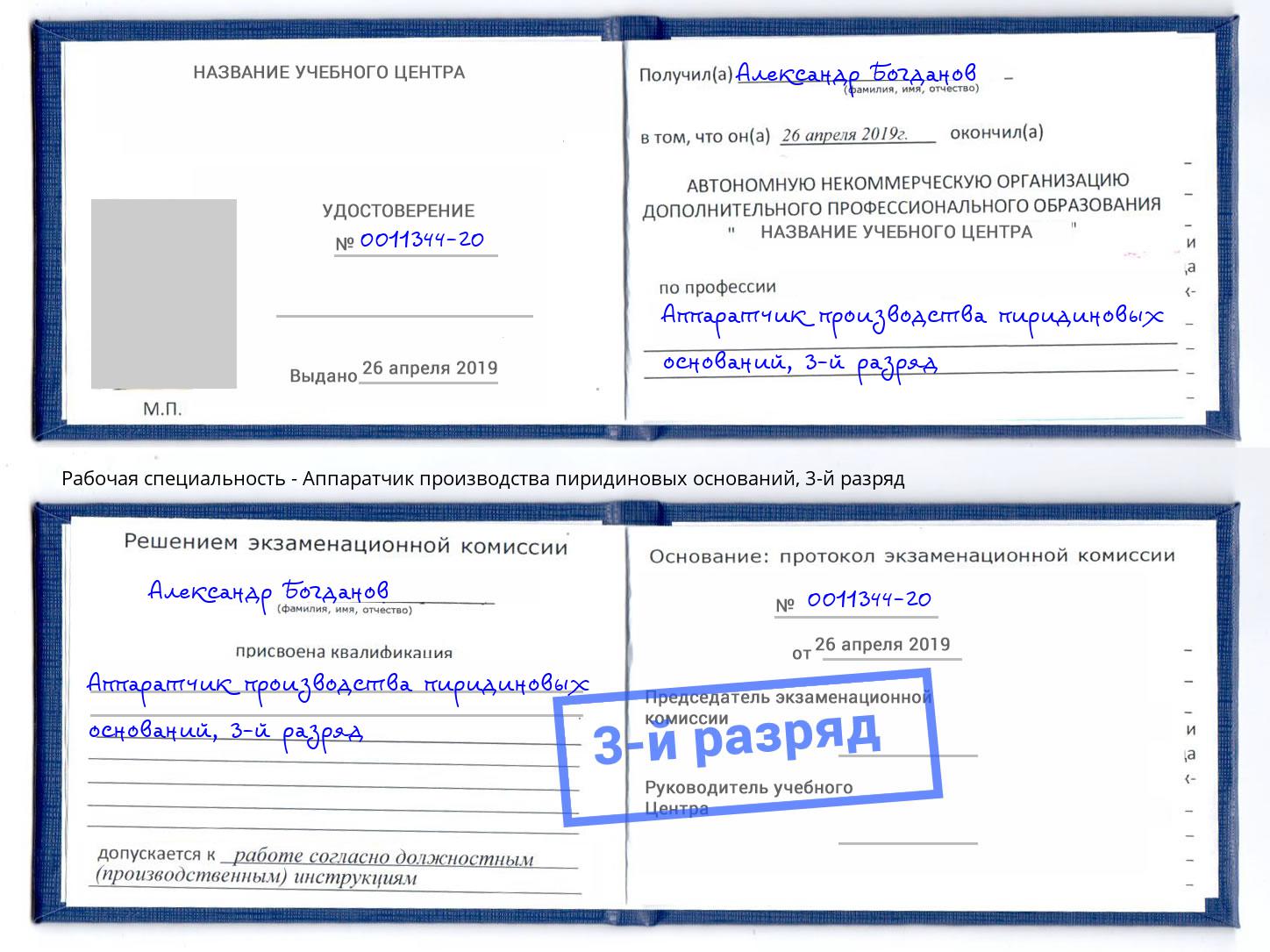 корочка 3-й разряд Аппаратчик производства пиридиновых оснований Богданович