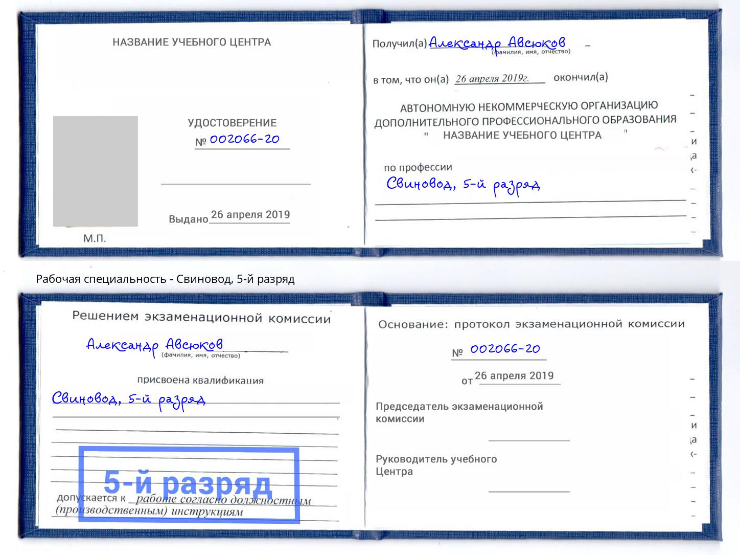 корочка 5-й разряд Свиновод Богданович