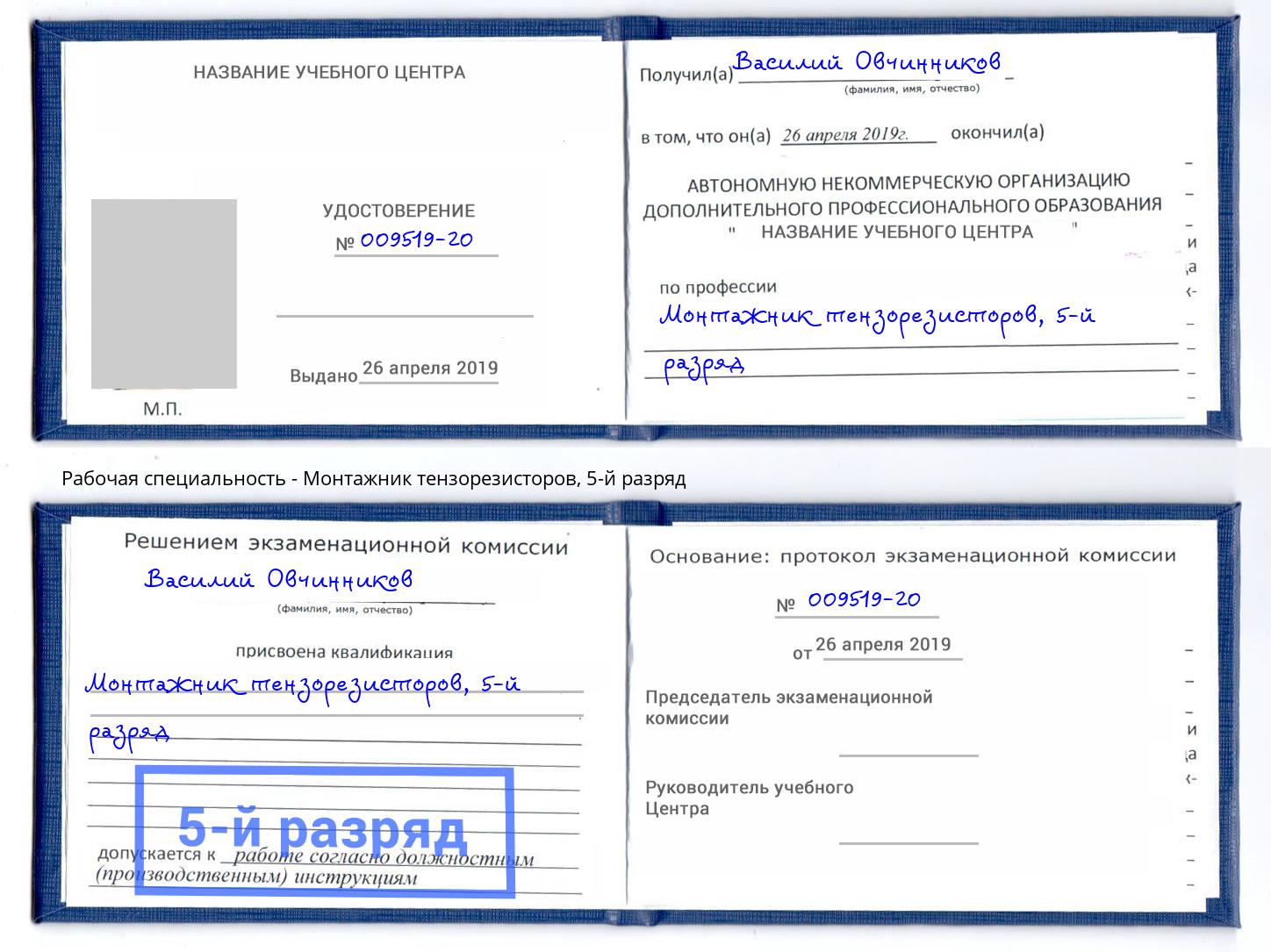 корочка 5-й разряд Монтажник тензорезисторов Богданович