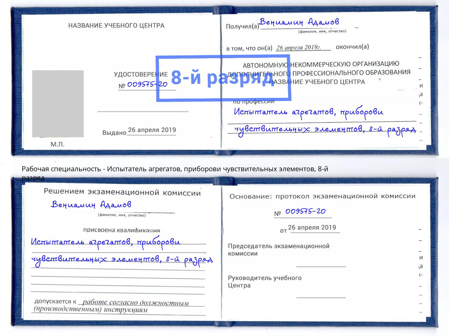 корочка 8-й разряд Испытатель агрегатов, приборови чувствительных элементов Богданович